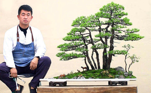 From internet worker to potted landscape artist