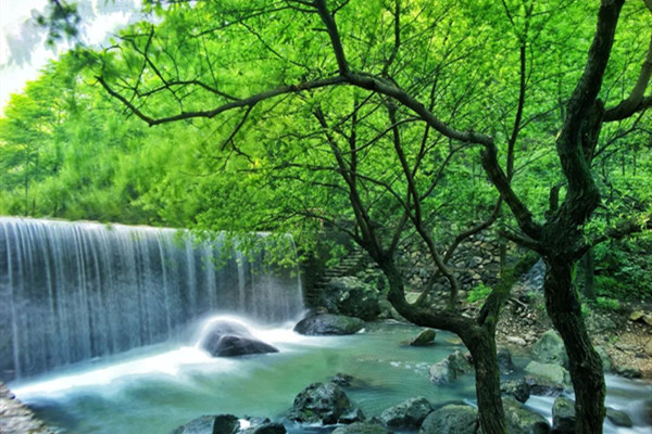 Enjoy a cool summer in Shenlixia scenic area 