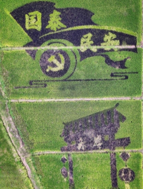 Rice field painting in Yiwu celebrates National Day