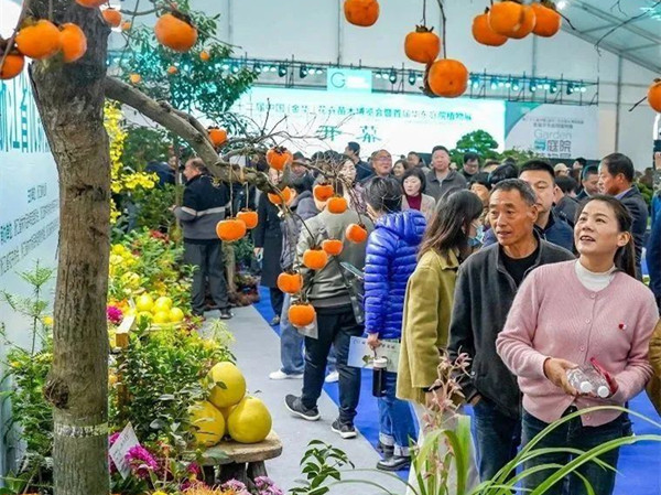 Jinhua hosts flower fair to showcase beauty of horticulture