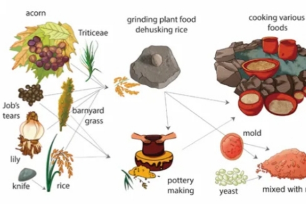 Jinhua's Shangshan site unveils earliest evidence of rice wine