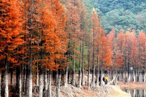 Jinhua invites tourists to a winter wonderland