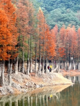 Jinhua invites tourists to a winter wonderland