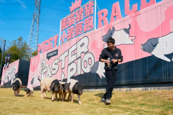 Jinhua legislates for its Liangtouwu pig industry