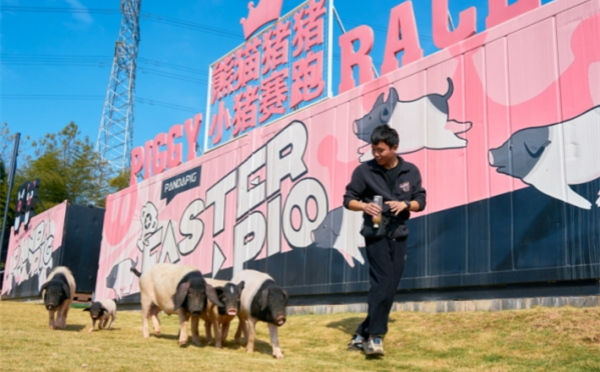 Jinhua legislates for its Liangtouwu pig industry