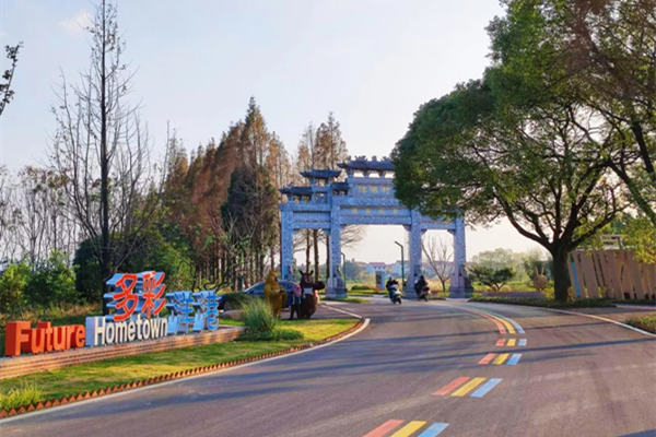 Jinhua makes strides in rural vitalization