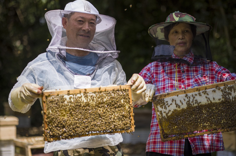 beekeeping2.jpg