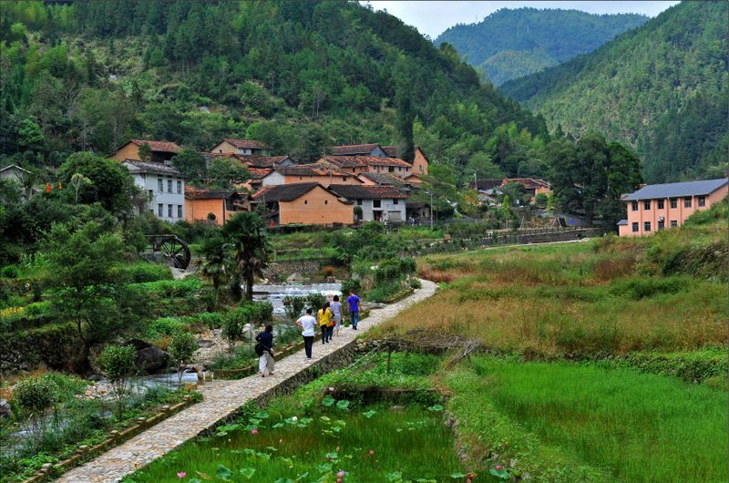 longquan dazhuang village.png