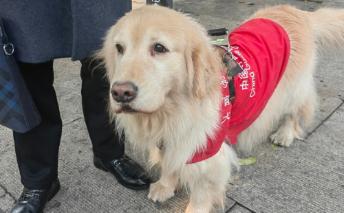 Shaoxing: Empowering blind individuals for barrier-free travel