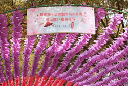 Houshan Mountain Peach Blossom Festival