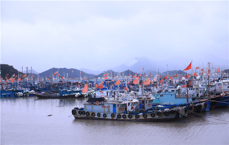 Zhejiang on high alert as Typhoon Muifa approaches