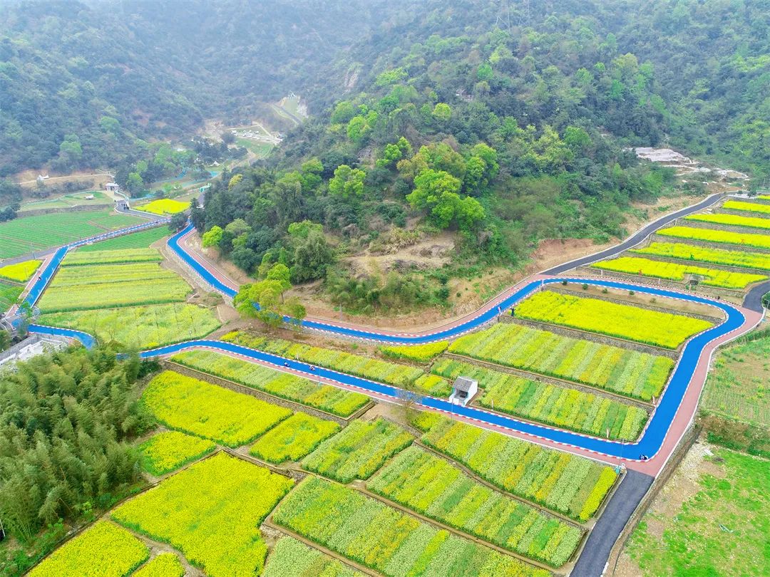 Wenzhou benefits from Green Rural Revival Program