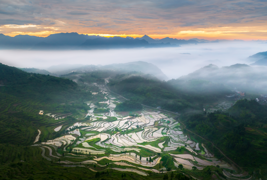 Terraced fields become tourism attraction in Wenzhou