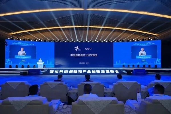 Wenzhou: A rising hub for unicorn companies