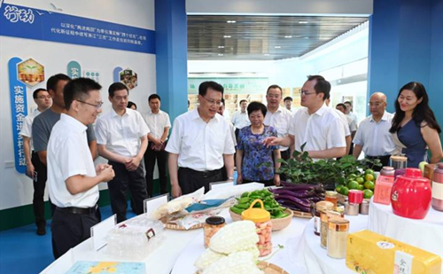 Zhejiang Party secretary tours Taishun, Wencheng