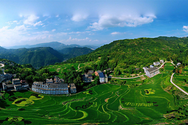 Wenzhou seeks quality development in rural areas