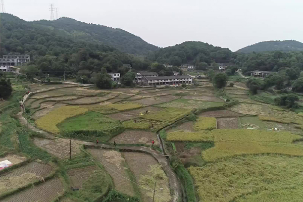 A road to common prosperity in mountainous Wenzhou village