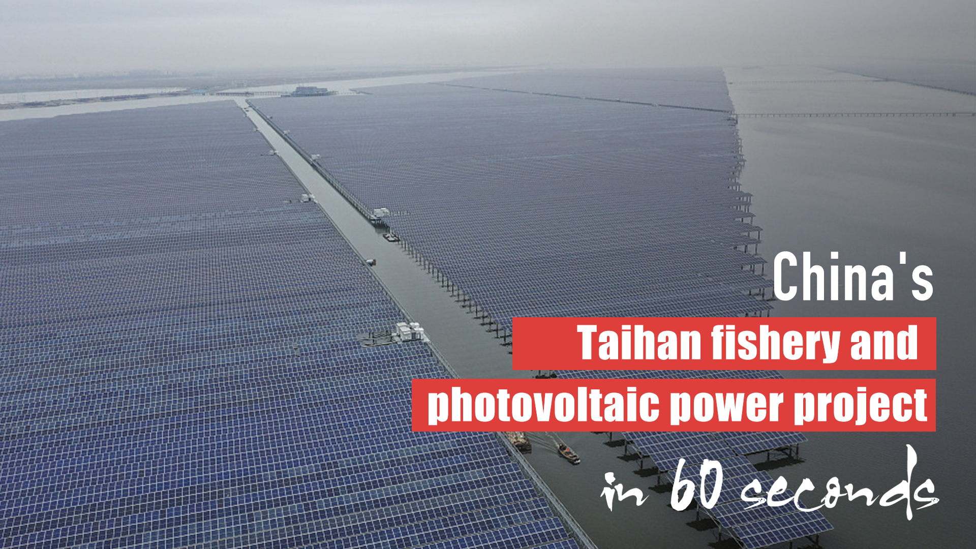 China's Taihan fishery and photovoltaic power project in 60 seconds