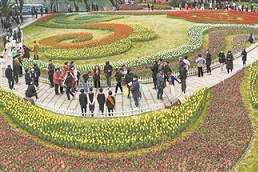 Spring flower shows to be held in Wenzhou