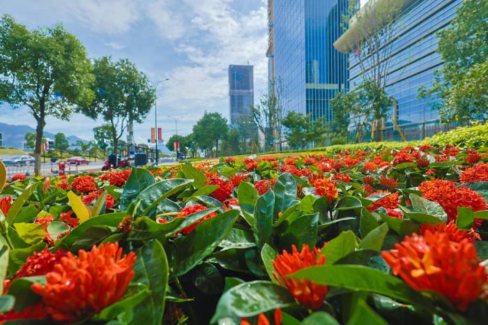 Wenzhou, in floral dress, anticipates the arrival of the Asian Games