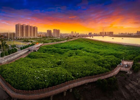 A place in the national list showcases Wenzhou's ecological excellence