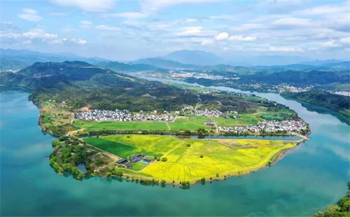 Zhejiang to pilot creative agriculture in 20 counties