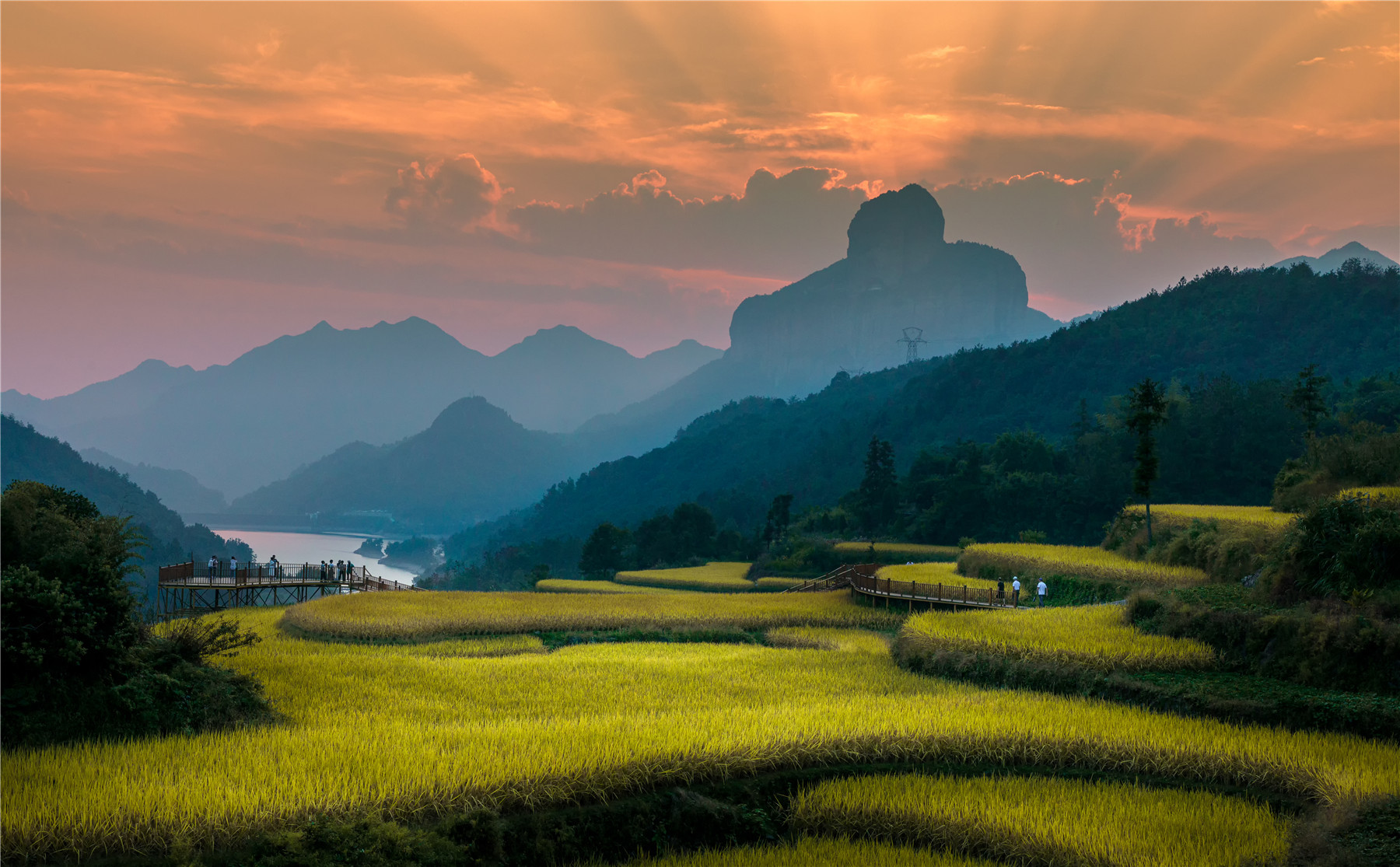 Terraced fields greet tourists in golden hue