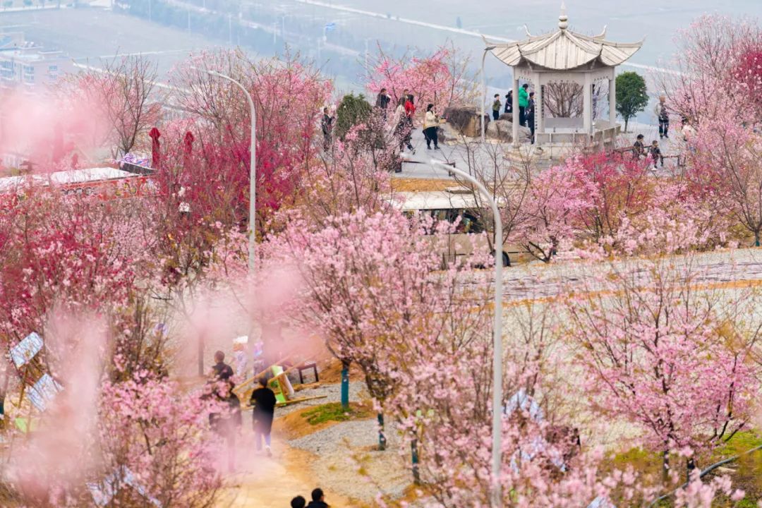 Tongpu blossoms as a charming eco-tourism destination