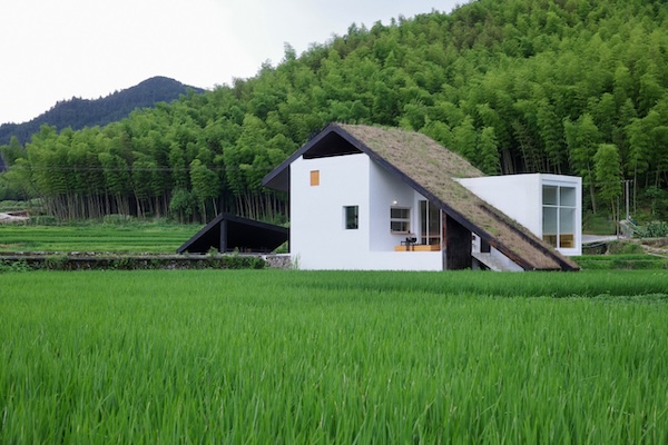 Wenzhou coffee shop wins intl design award