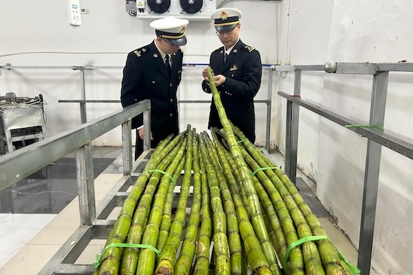 Wenzhou Taoshan sugarcane ventures into S. Korea