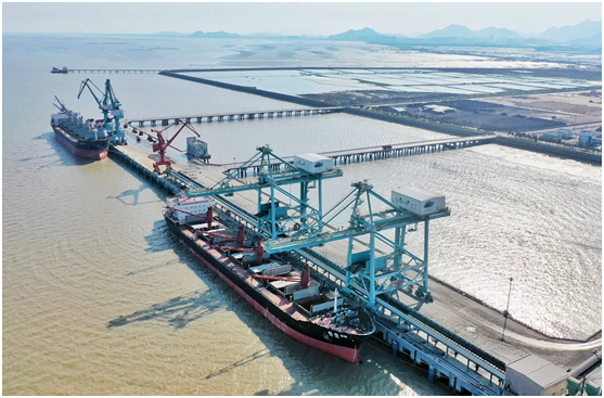 Wenzhou import, export value hit record high