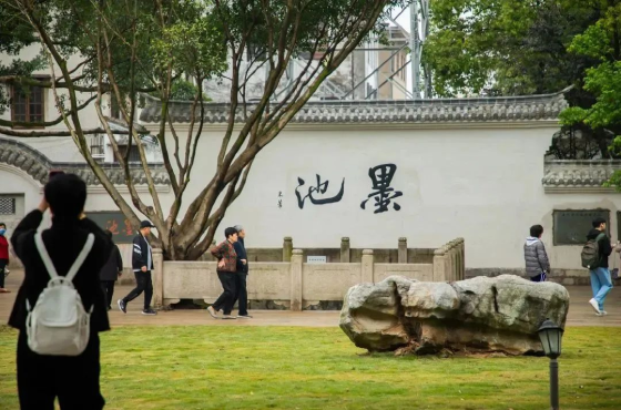 Millennium-old cultural lane comes alive in Wenzhou