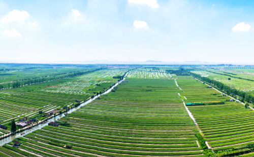 Ruian advancing agricultural and rural modernization