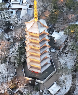 Wenzhou reveals charm after snowfall
