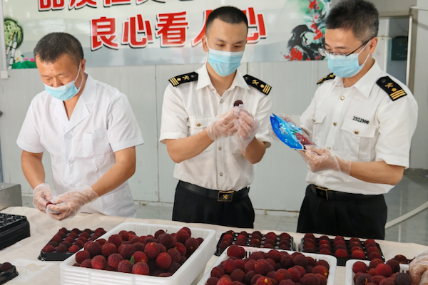 Taishun waxberries fly to Canada