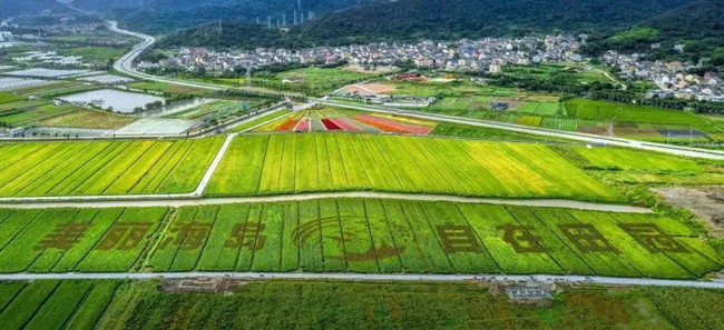 海岛乡村_副本.jpg