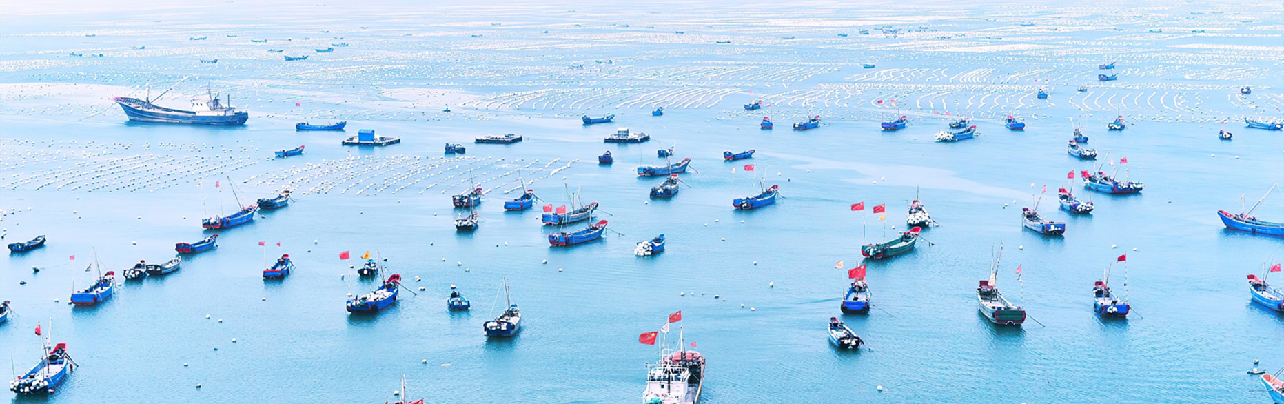 Zhoushan launches annual online fishing festival