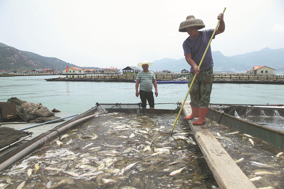 Fujian's innovations lead nation's quest for food security