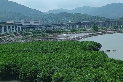 Discovering innovative agri-tech in Fujian