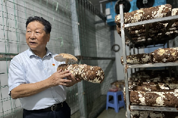 Chinese agricultural techniques help alleviate global poverty