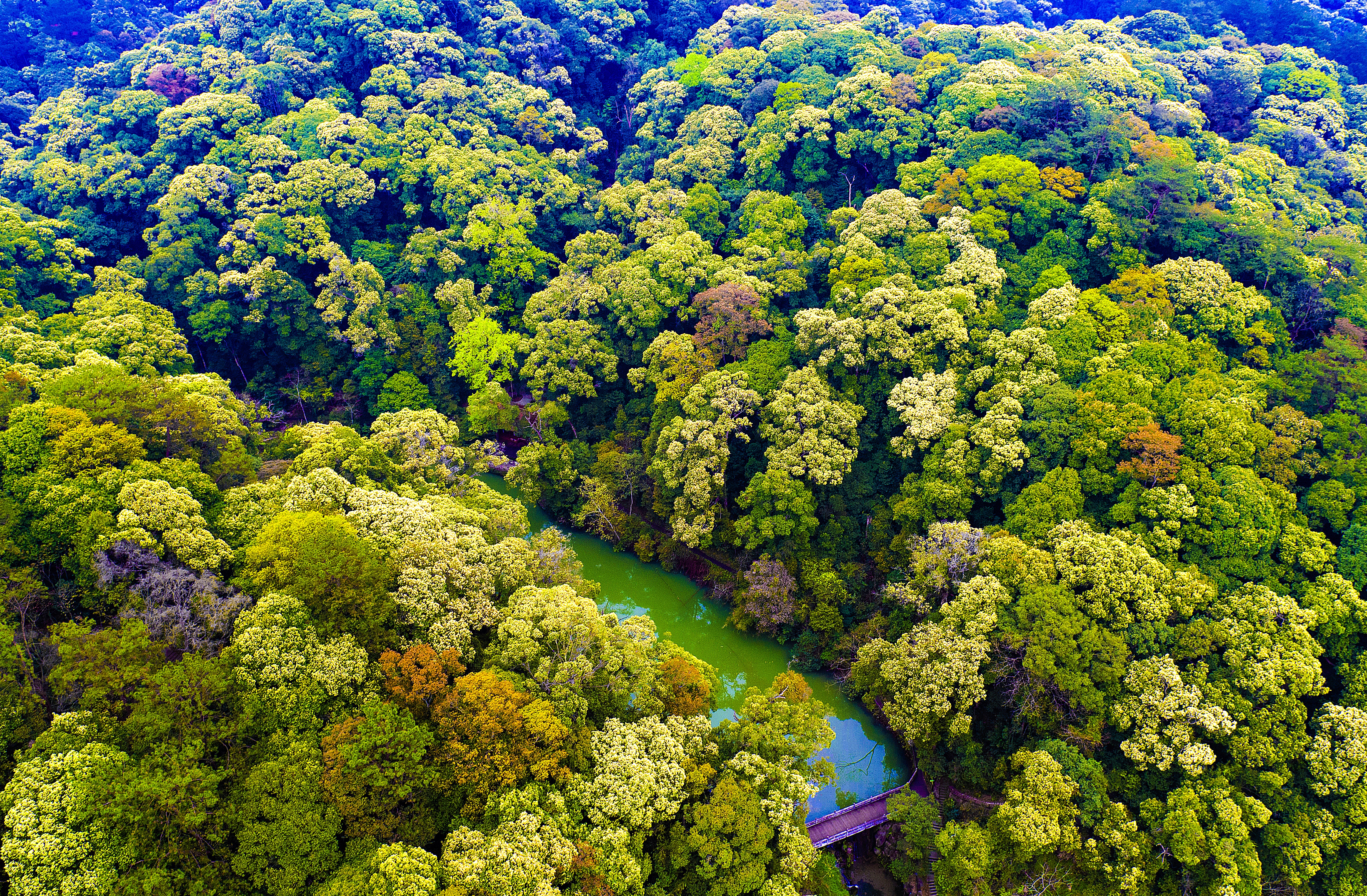 Main event of National Ecology Day kicks off in Sanming