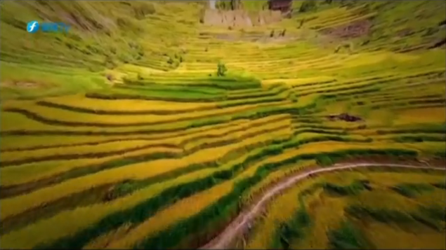 Picturesque terraced slopes in Youxi, Fujian