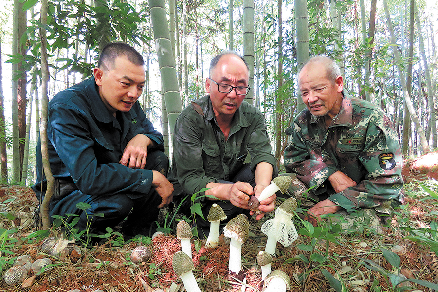 Mushroom farmer lauded for spreading scientific knowledge