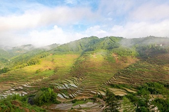 Picturesque views of terraced fields in Quanzhou's Dehua county 