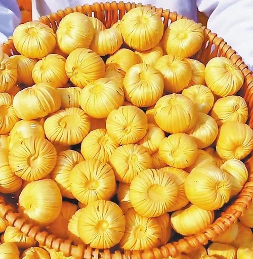 1765272361813019010.jpg 甘肃_副本.jpg