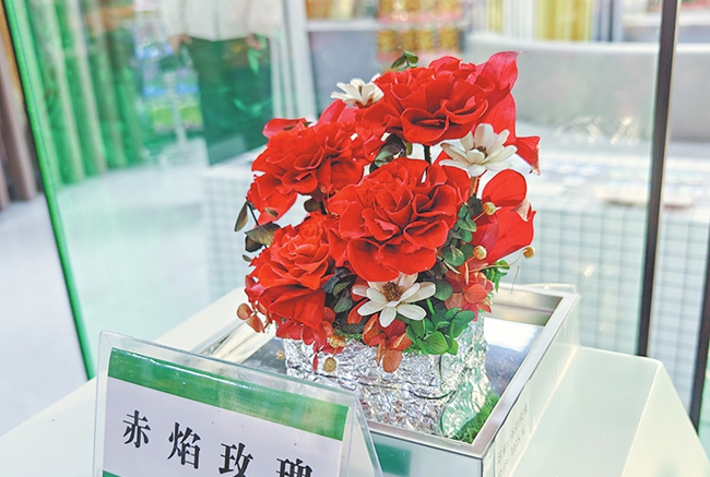 1765526576609053684.jpg 甘肃2.jpg