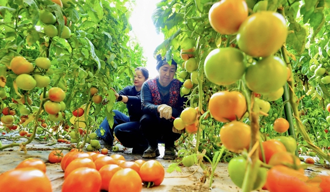 1765878048552006560.jpg 甘肃.jpg