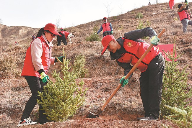 Greening gives Loess Plateau farmers bright prospects