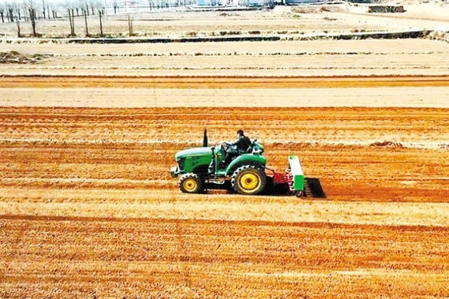 Spring plowing in full swing in NW China’s Gannan