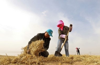 Anti-desertification push in Gansu shows promise